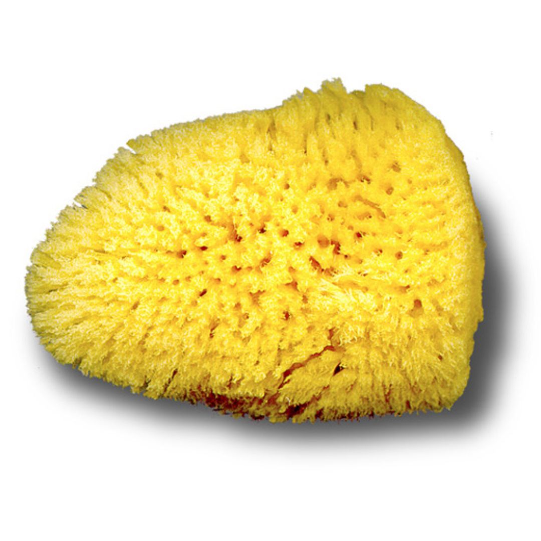 Sponges for Ceramics and Crafts Natural & Synthetic National Artcraft