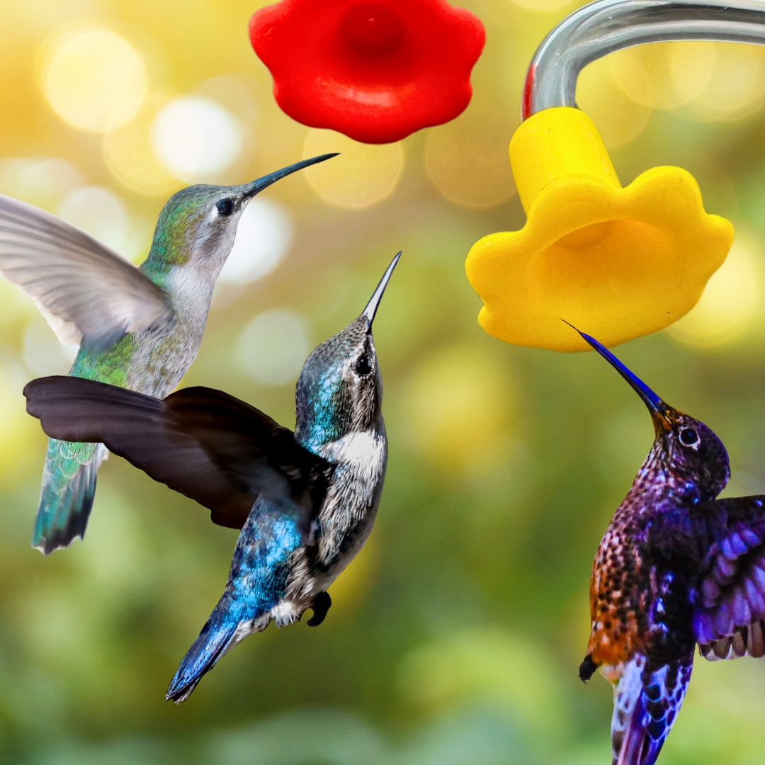 National Artcraft Floral Hummingbird Feeder Tubes To Make Your Own